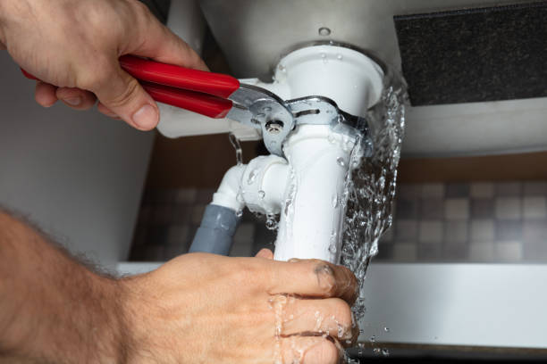 Best Water damage contractors near me  in Duenweg, MO