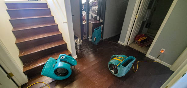 24/7 water damage repair in Duenweg, MO