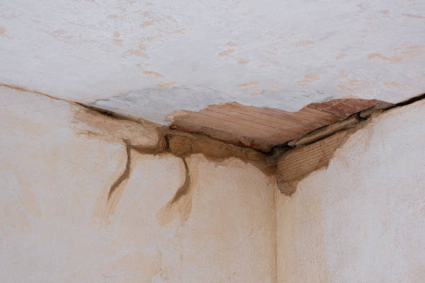 Duenweg, MO Water damage restoration Company