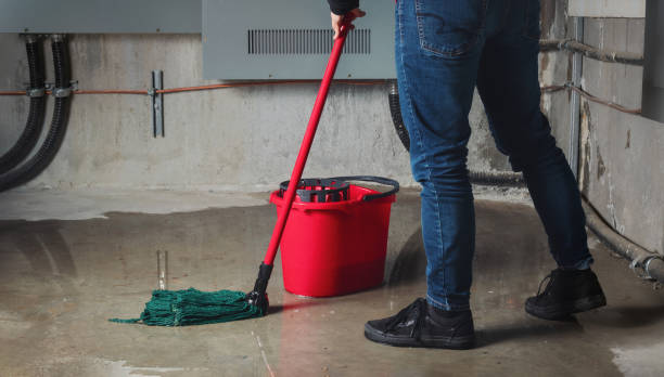 Best Sewage cleanup and water damage restoration  in Duenweg, MO