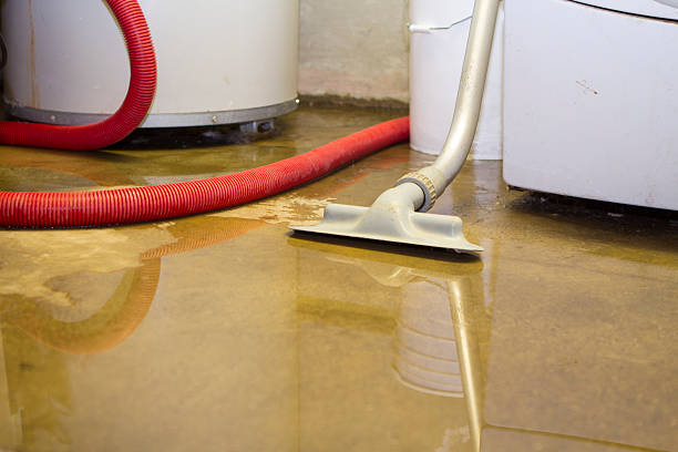 Water damage restoration insurance claims in Duenweg, MO