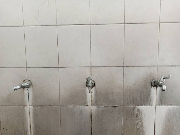 Best Water damage restoration insurance claims  in Duenweg, MO