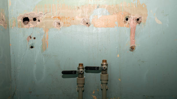 Trusted Duenweg, MO Water damage restoration Experts